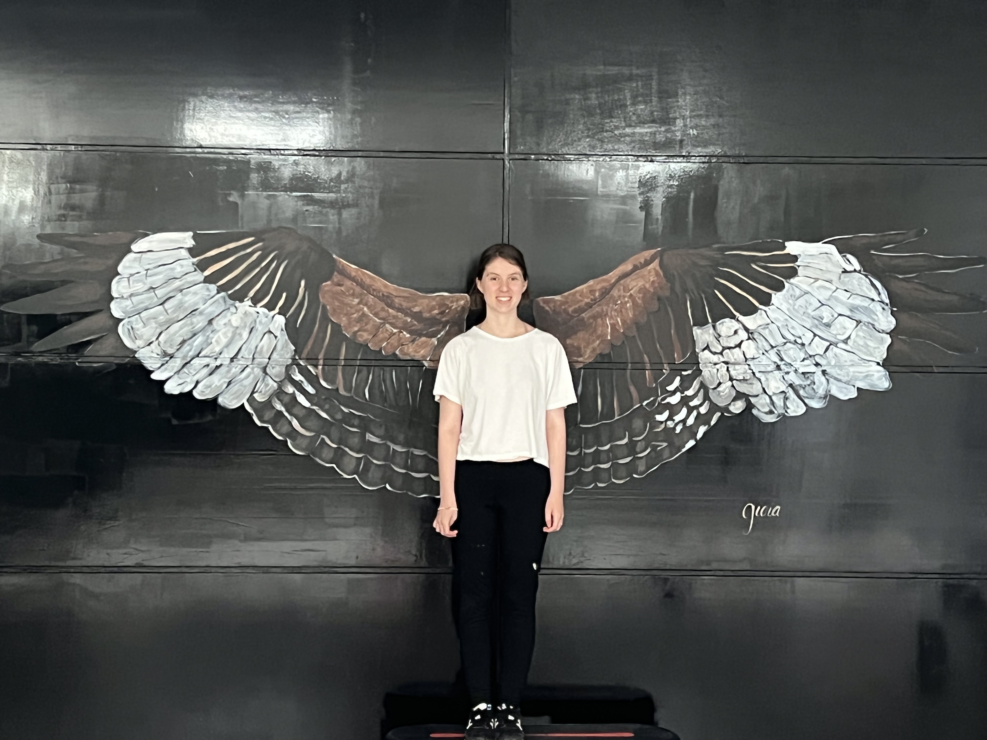 Studio-2 heeft vleugels